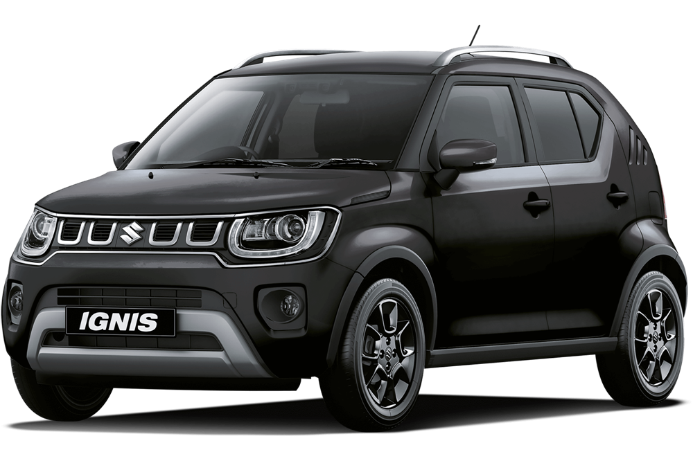 Suzuki ignis кенгурятник